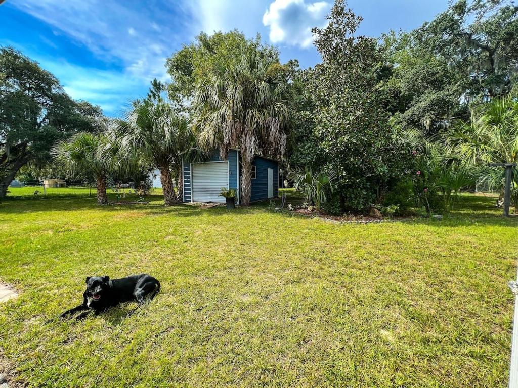 House Of Shells, Beautiful Garden, Fenced Yard, Dog Friendly, Fire Pit! Crystal River Exterior foto